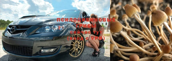 дурь Баксан