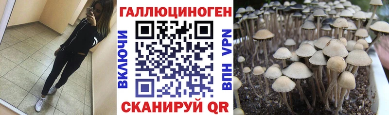 наркотики Вичуга Псилоцибиновые грибы мухоморы